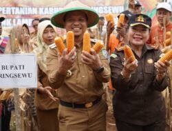 Pemkab Pringsewu Dukung Upaya Pengembangan Jagung Sebagai Komoditas Strategis
