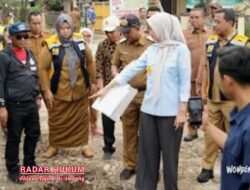 Bupati dan Wabup Dampingi Wagub Lampung Tinjau Perbaikan Jalan Provinsi 3,8 KM di Pringsewu